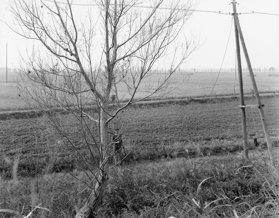 Another Landscape #3