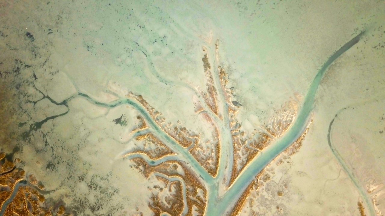 “Lagunaria” tra acqua terra e mito